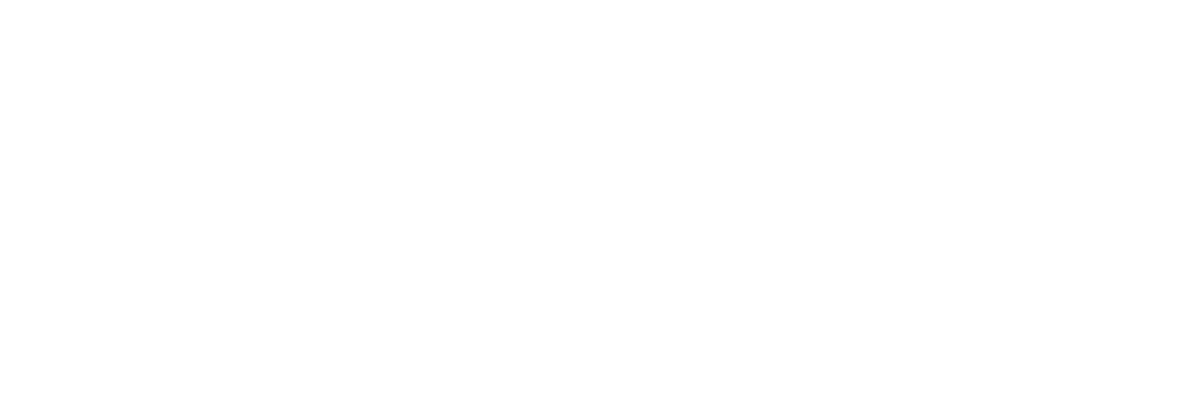 EdViz LMS